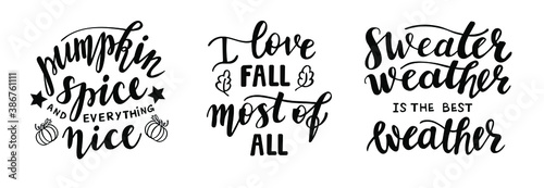 Set of hand drawn lettering fall, autumn season quotes and pharses for cards, banners, posters design. Pumpkin spice and everything nice, i love fall most of all, sweater weather is the best weather.
