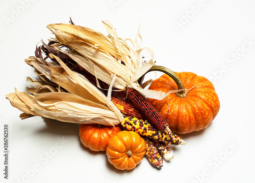 Still life of mini pumpkins, indian corn and sparkler pumpkin isolated on white background.