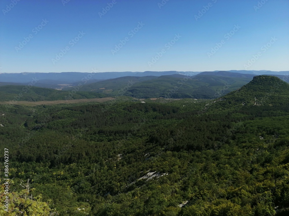 Obraz premium landscape with trees