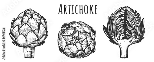 Artichoke green flower heads set