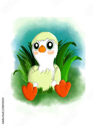 PATO /DUCK