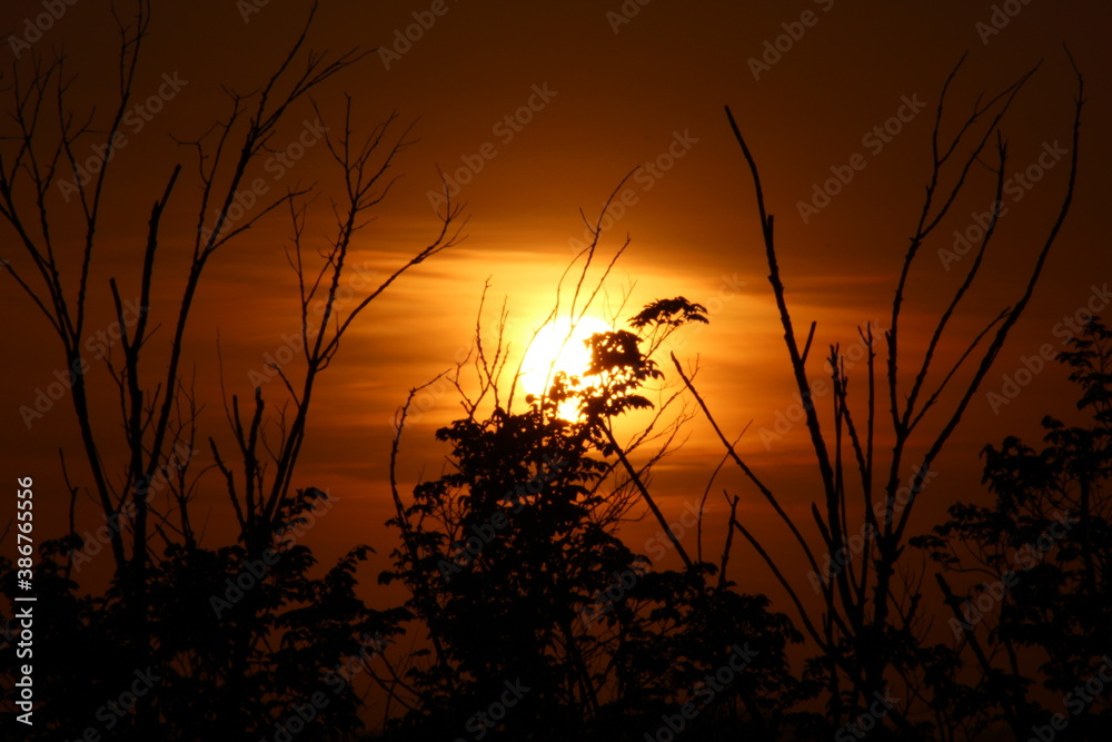 Fototapeta premium Album mi x sunset