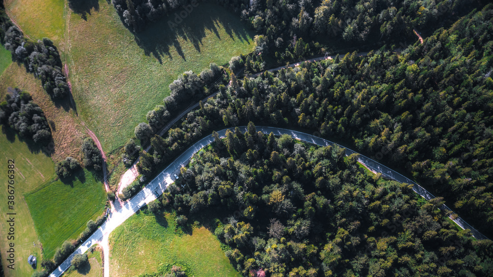 Green forest with curvy road seen from aerial top view