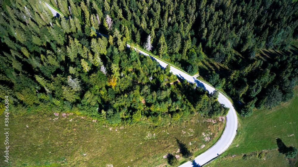 Green forest with curvy road seen from aerial top view