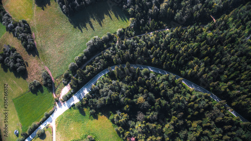 Obraz na płótnie Green forest with curvy road seen from aerial top view w salonie