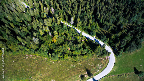 Green forest with curvy road seen from aerial top view