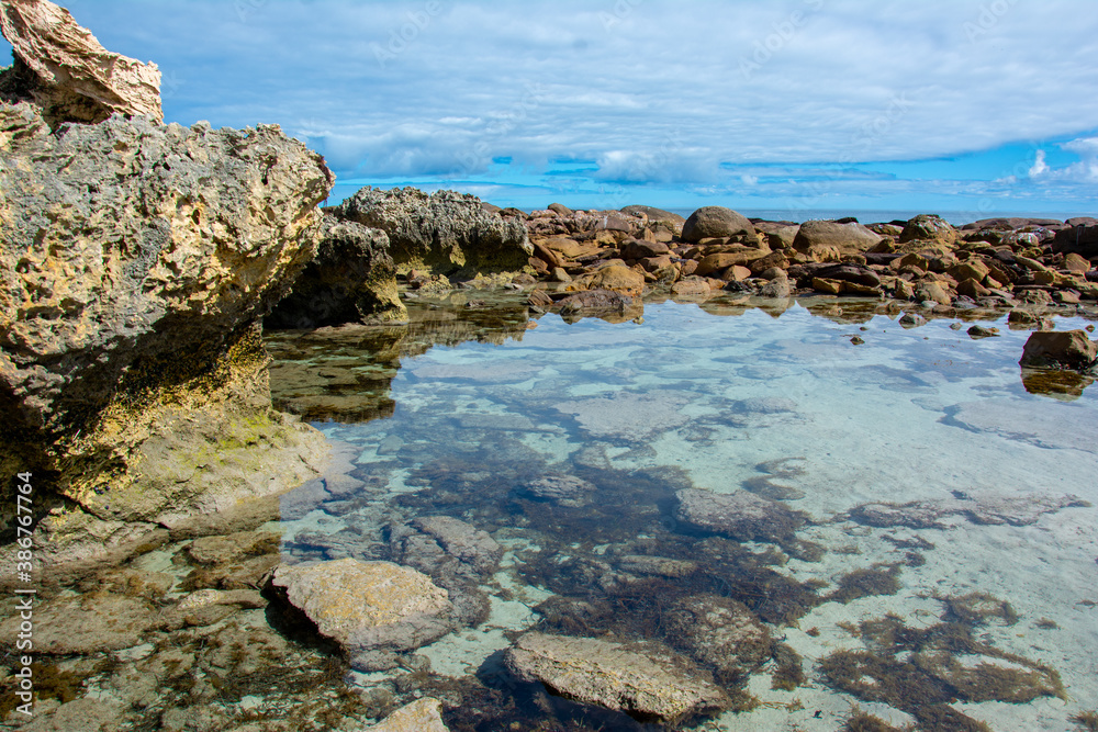 rocky coast of the sea