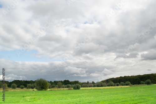 Meadow landscape next to Amelisweerd