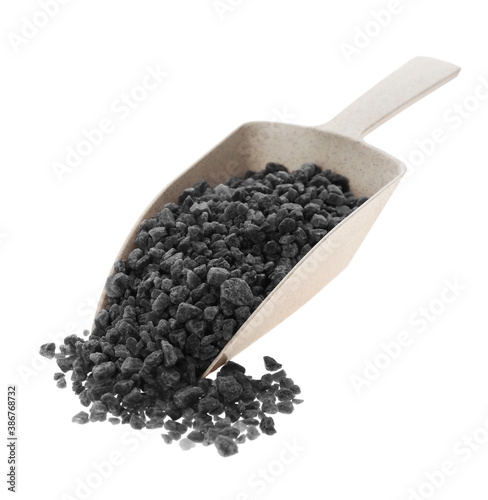 Black salt in plastic scoop on white background