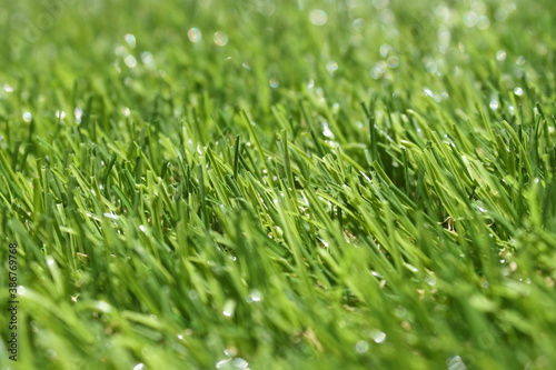detail view of an artificial grass, detail of the fibers of a green artificial grass