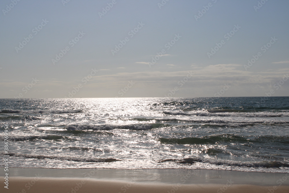 Desert Beach in Brazil