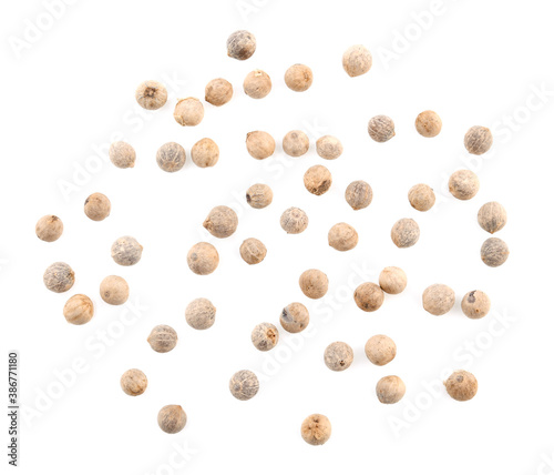 Top view of white peppers on the white background.