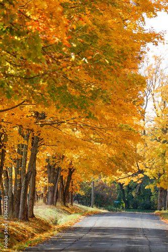 Fototapeta Naklejka Na Ścianę i Meble -  Sharon Ct, USA Fall foliage and autumn colors.