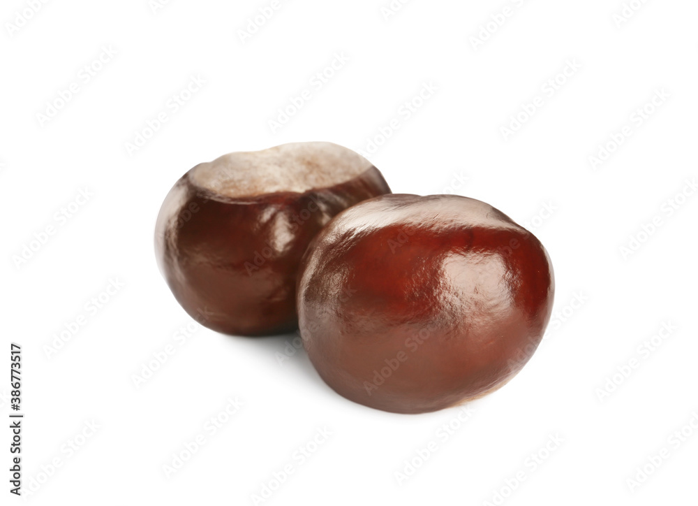 Two brown horse chestnuts isolated on white