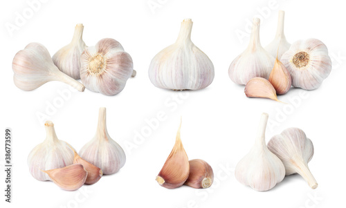 Set of garlic bulbs and cloves on white background