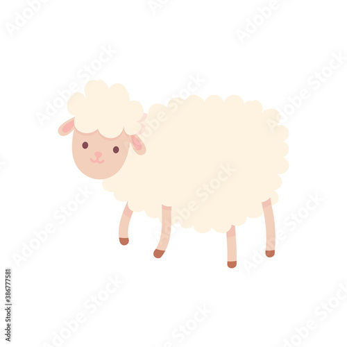 cartoon farm sheep domestic animal