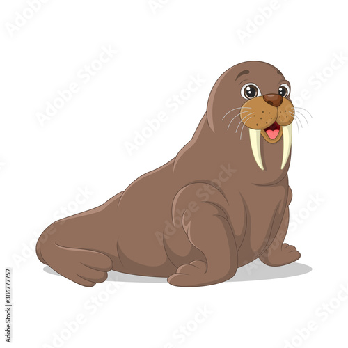 Cartoon funny walrus on white background