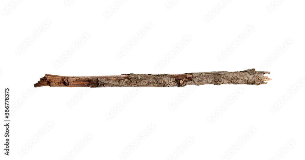 Old dry tree branch isolated on white Old dry tree branch isolated on white