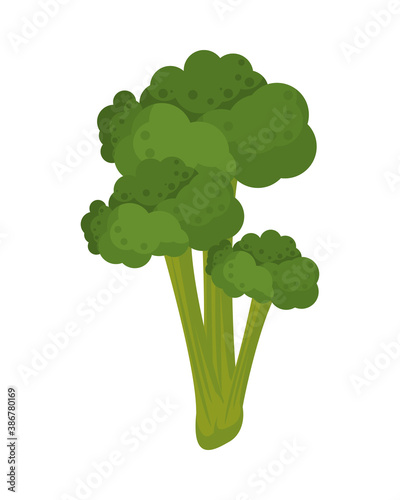 broccoli fresh vegetable nature icon