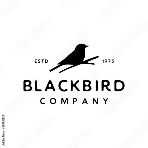 Vintage retro bird silhouette logo design vector