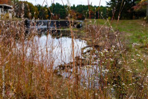 New England autumn colors and scenery photo