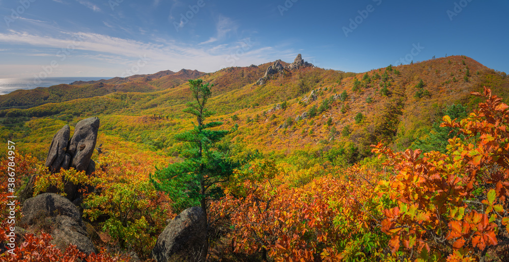 Golden autumn in the taiga mountains of the Primorsky territory of Russia