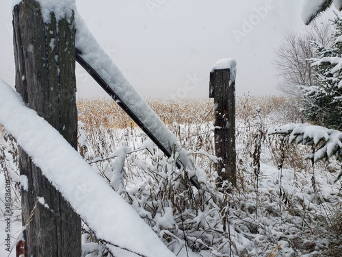 snow covered fence