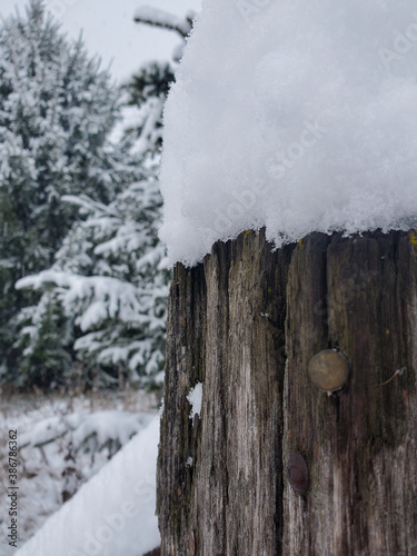 snow covered wood texture. Vertical photo.

