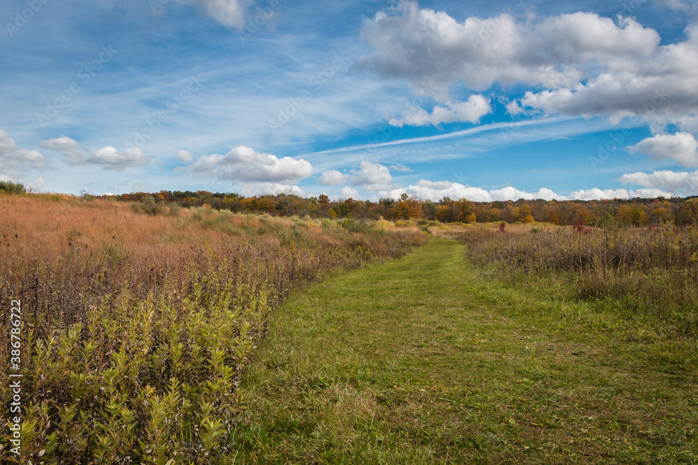Meadow in Autumn on a delightful sunny day at Wallkill River National Wildlife Refuge, NJ