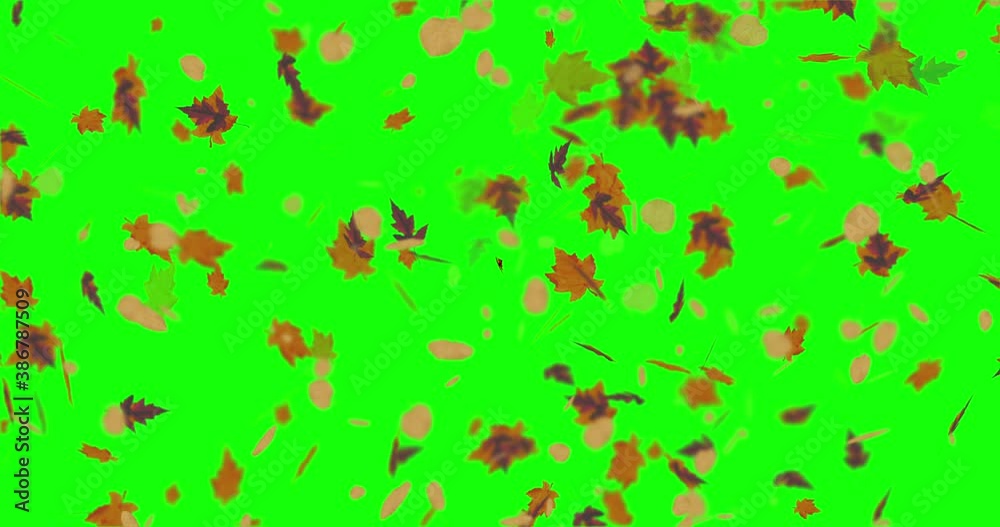 Animation of falling leaves in autumn loop Animation of falling leaves in autumn loop