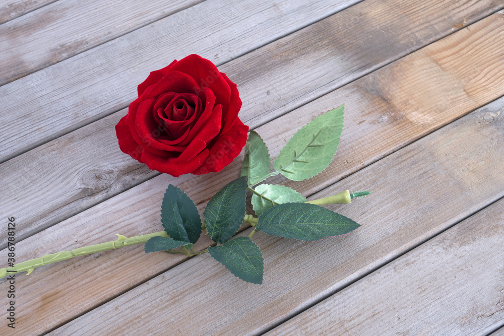 Plucked red rose flower on wood grain background Stock Photo | Adobe Stock