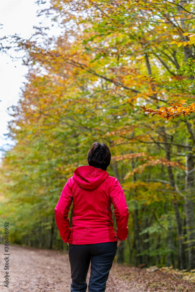young woman walking among beech trees in autumn young woman walking among beech trees in autumn