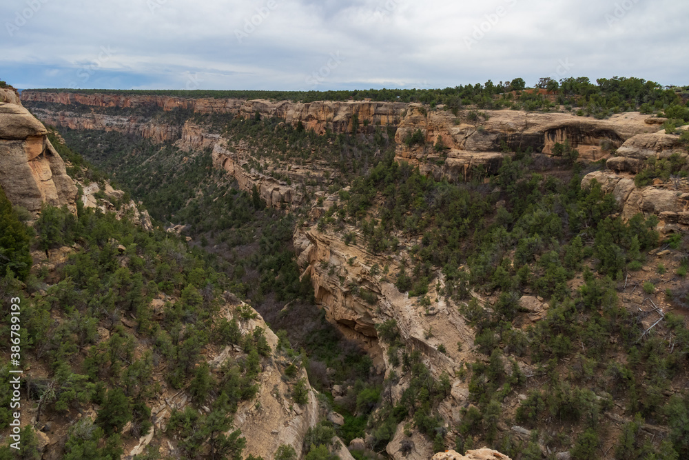 Canyon at Mesa Verde National Park