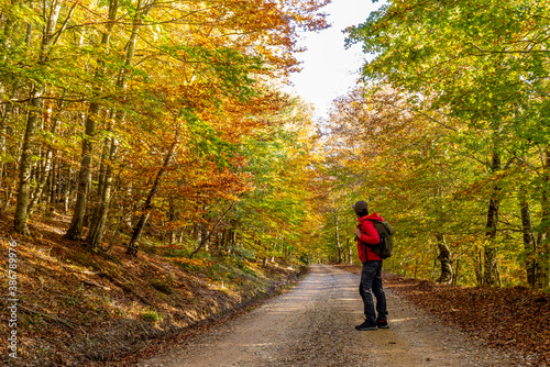 young woman walking with a backpack among beech trees in autumn with red sportswear