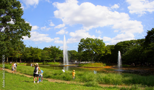 夏の代々木公園