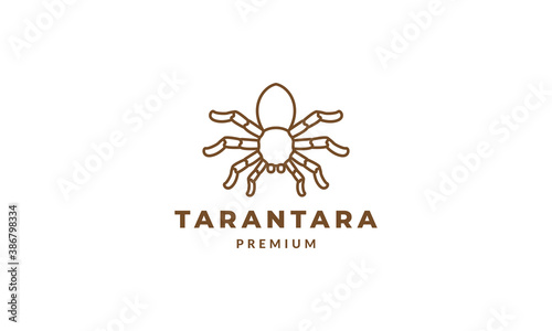 spider minimalist line art outline  logo vector icon illustration design