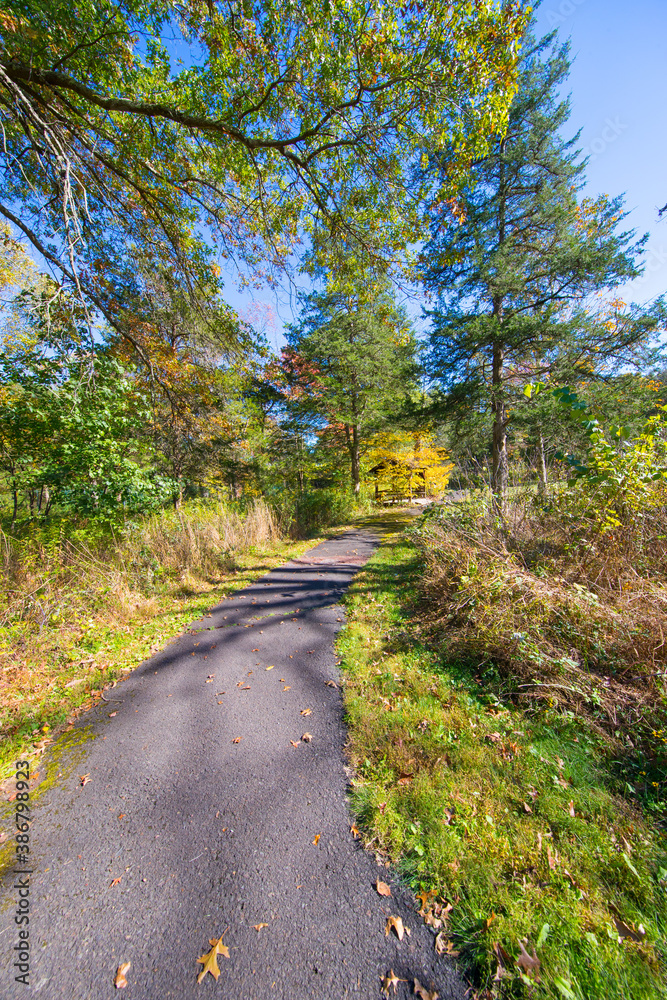 Autumn forest yellow and red leaves view. Autumn leaves ground. Autumn forest road landscape. Autumn leaves road view Autumn forest yellow and red leaves view. Autumn leaves ground. Autumn forest road landscape. Autumn leaves road view