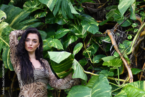 Beautiful woman face behind palm tree leaf on sunset time