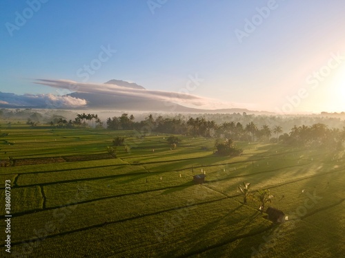 Ricefield in Sidemen with Mount Agung in the background