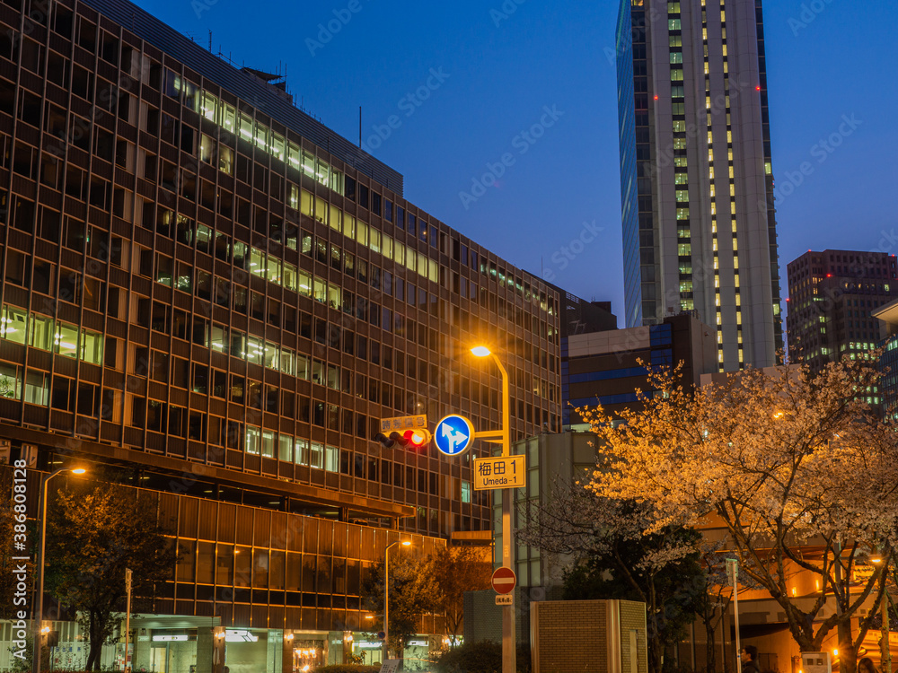 【大阪】大阪駅前ビルにある満開の夜桜