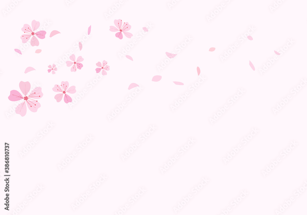 Pink cherry blossom on pink background vector. Sakura Japanese flower.