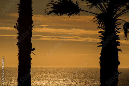 sunset on the beach