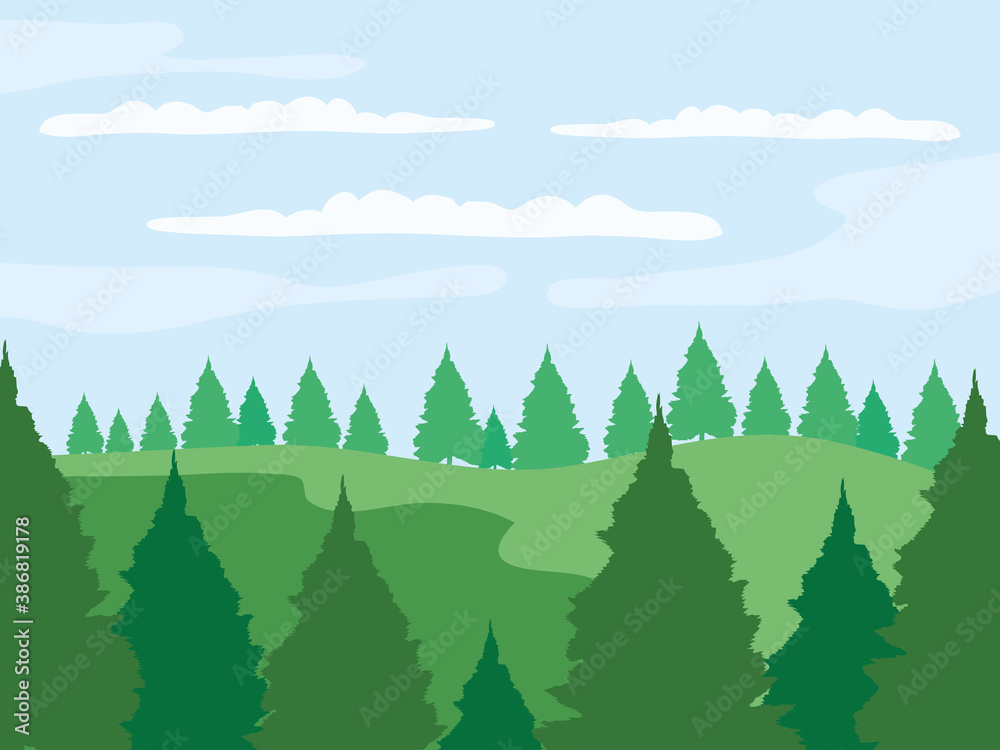 Fototapeta premium nature landscape with green grass, pine trees and clouds