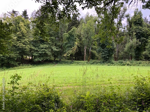 Mixed forest in the canyon and vegetation in the Rak river valley, Cerknica - Notranjska Regional Park, Slovenia (Krajinski park Rakov Škocjan, Slovenija) photo