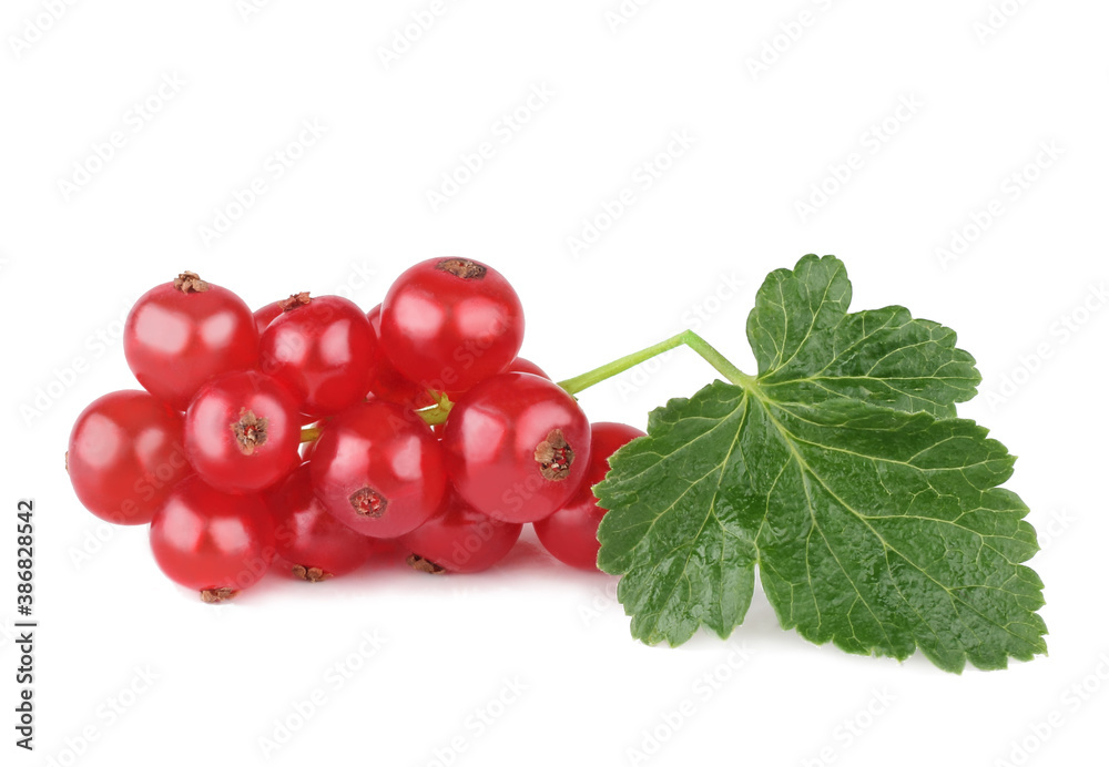 Currant berries isolated on white background Currant berries isolated on white background