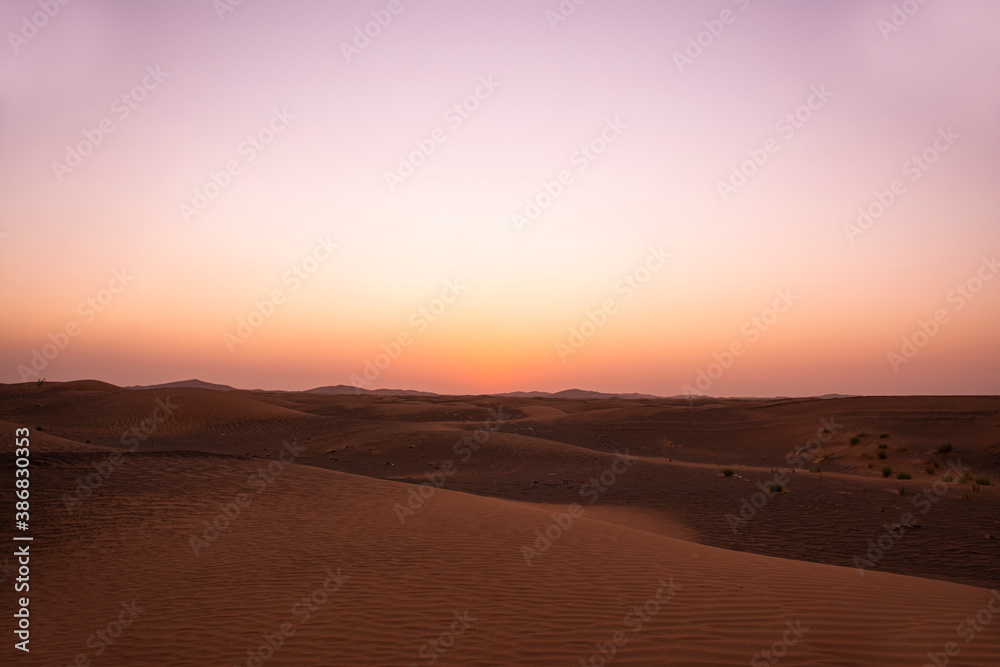 Desert landscape view