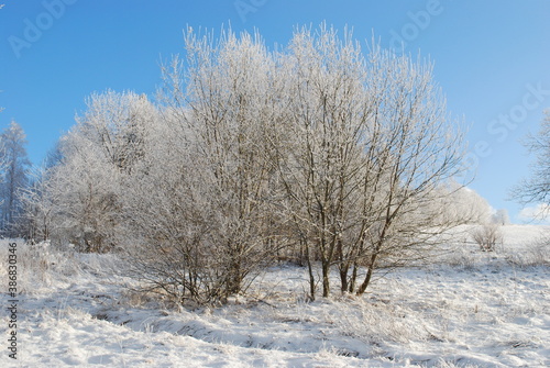 landscape in winter © Sarka