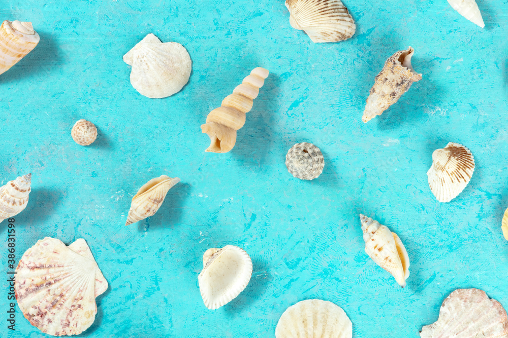 Flat lay ocean pattern with sea shells, overhead shot on a teal blue background