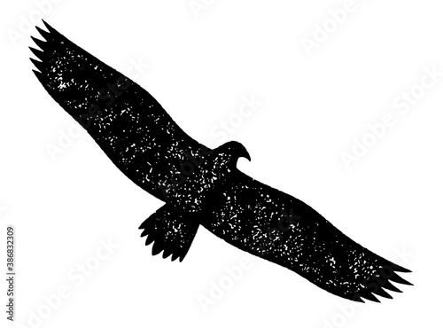 Eagle in flight. Grunge silhouette of a gliding eagle.