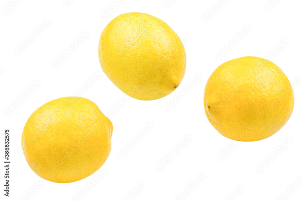 Lemon isolated on white background. Space for test or design.